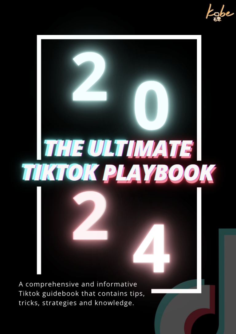 TikTok Playbook 2024
